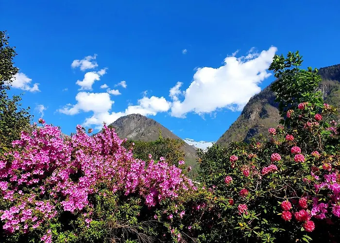 Accogliente Mansarda 公寓 Grono