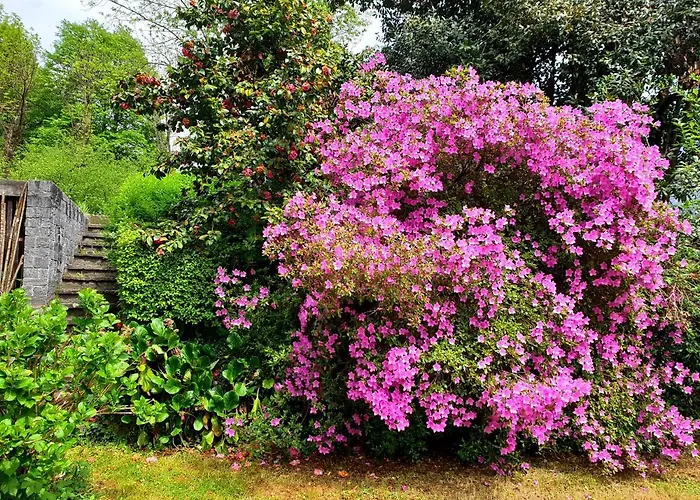 Accogliente Mansarda