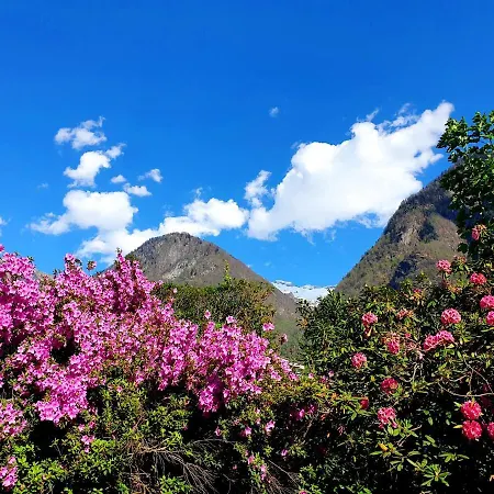 Accogliente Mansarda شقة Grono
