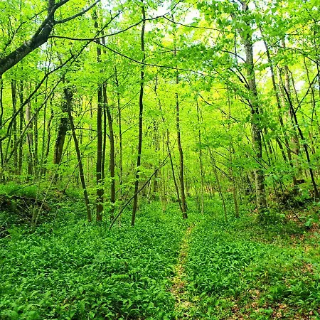 شقة Accogliente Mansarda