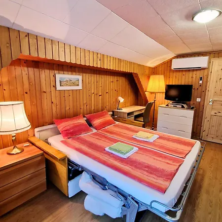 Accogliente Mansarda * Grono