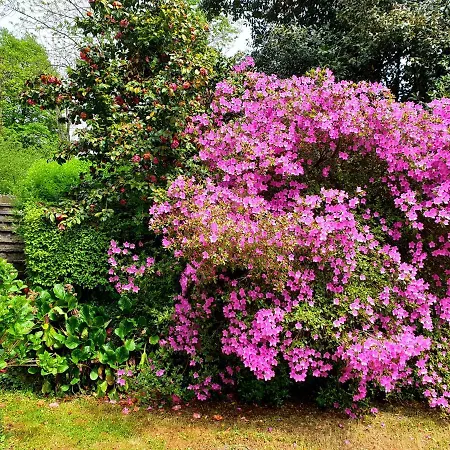 Accogliente Mansarda