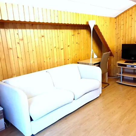 Accogliente Mansarda * Grono